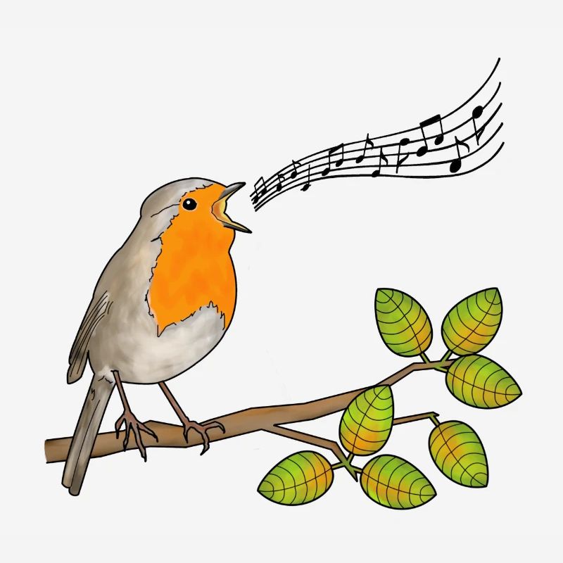 Robin singing, musical notes