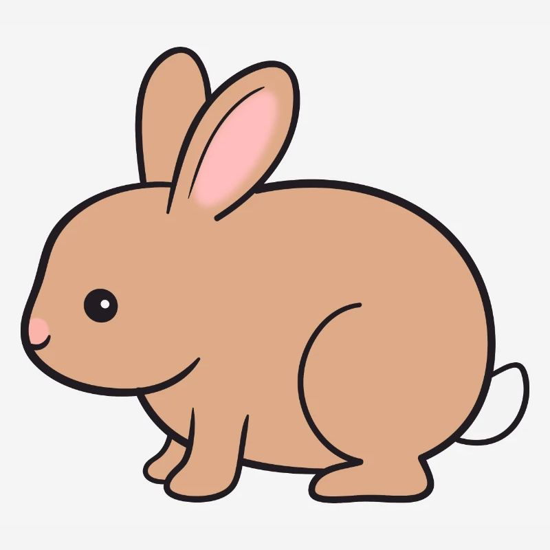 Rabbit Rabbit