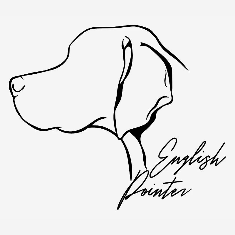 ENGLISH POINTER Profil Hunde Hund Wilsigns
