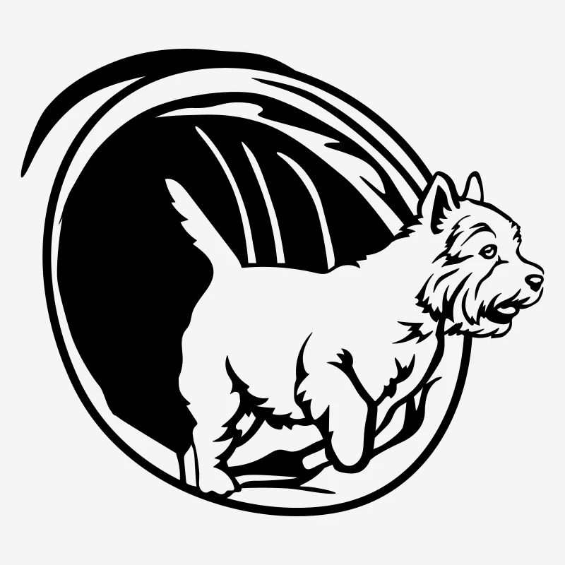 West Highland Terrier
