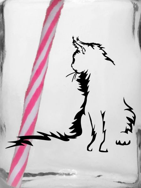 Chat Maine Coon