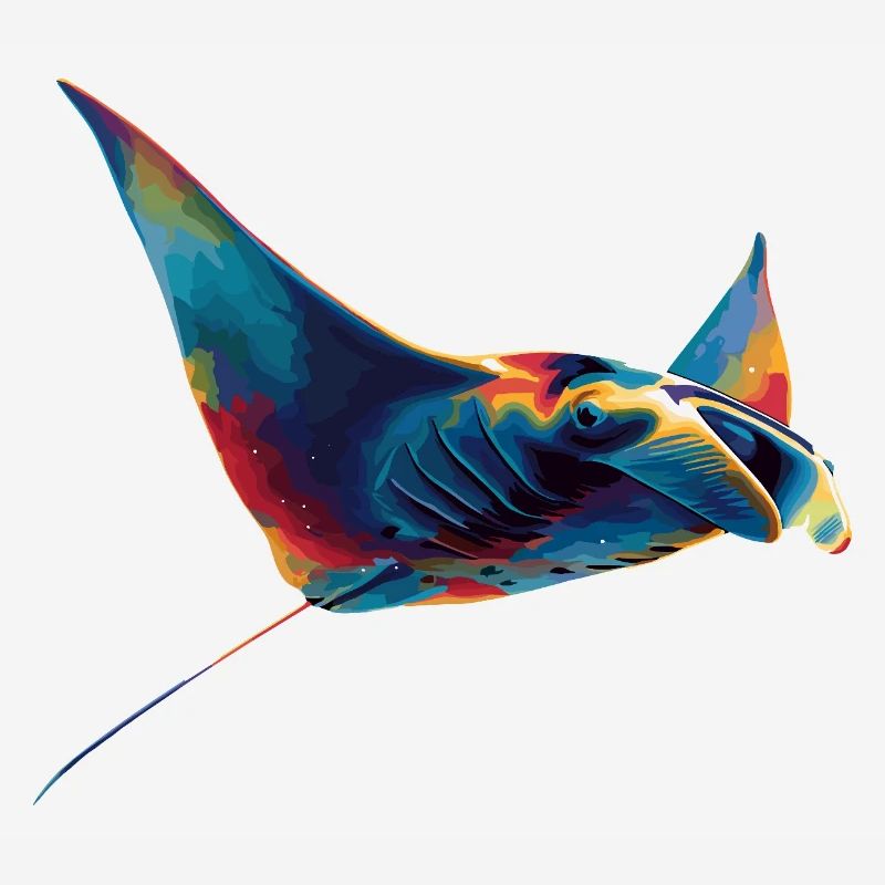 Manta Ray, Devil Ray, Stingray, Diver