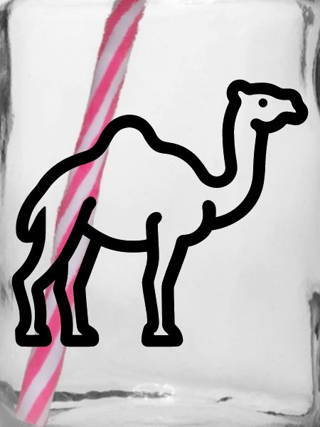 Kamel