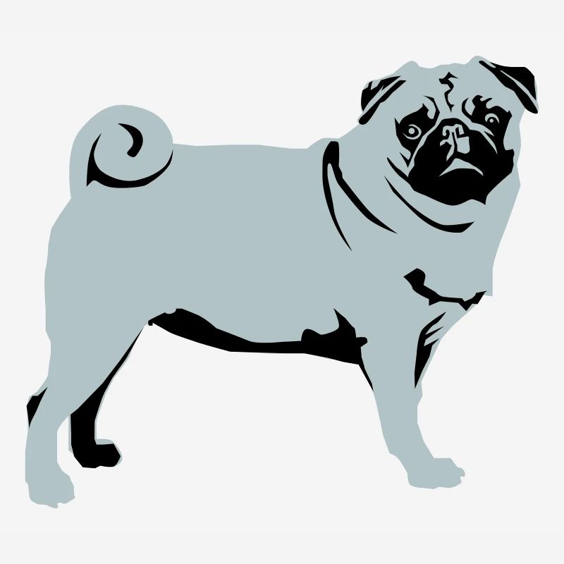 Pug