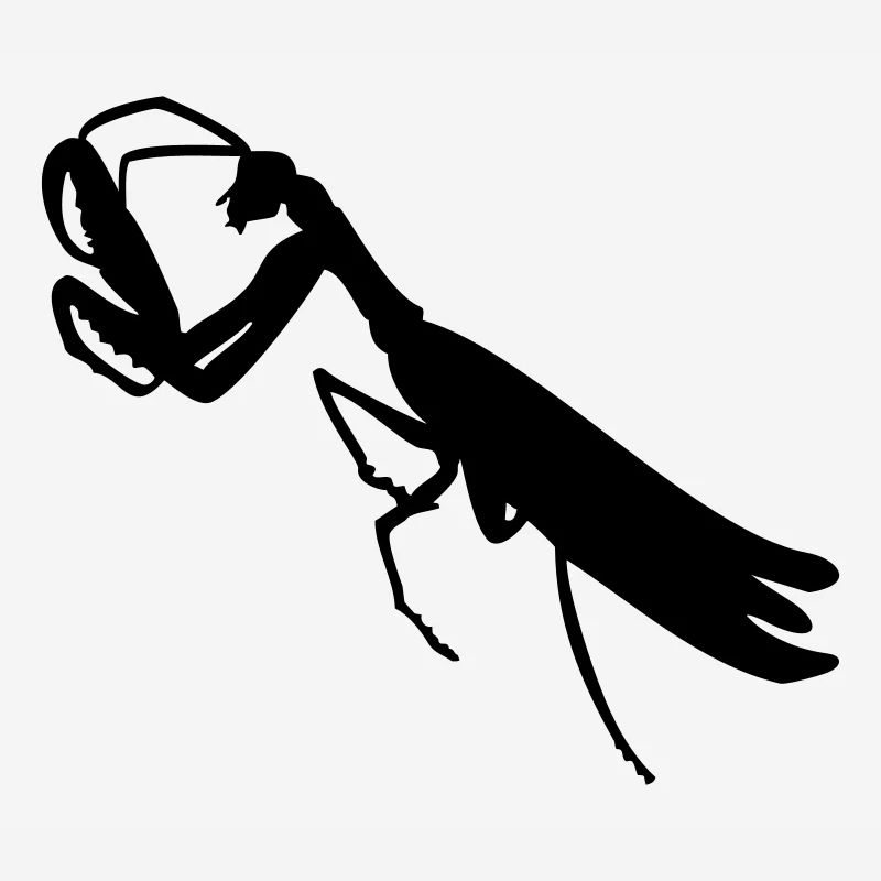 Gottesanbeterin / mantis (1c)