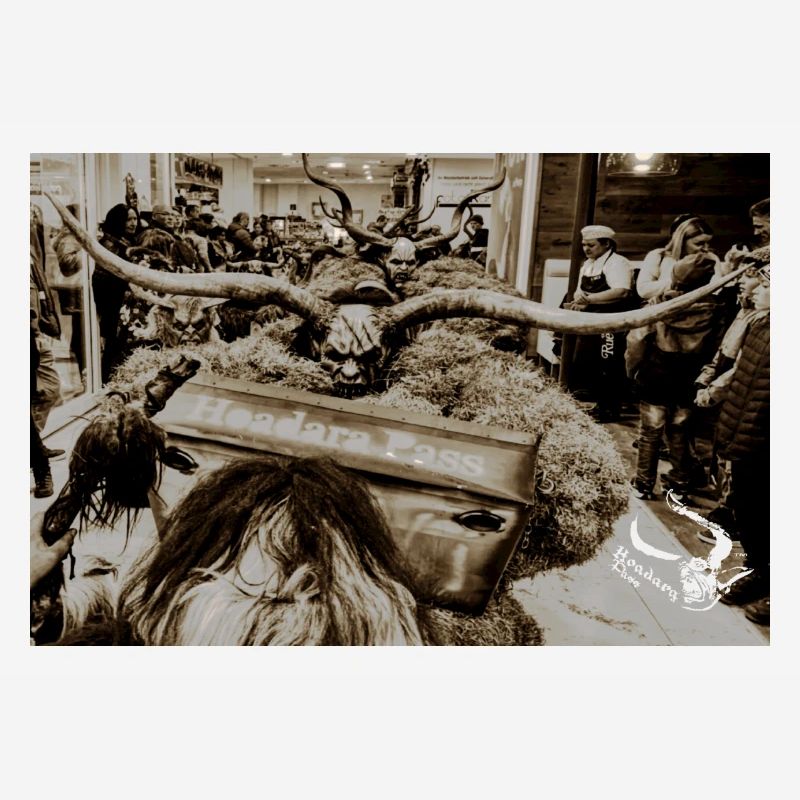 Hoadara Pass Fanartikel Variante 5