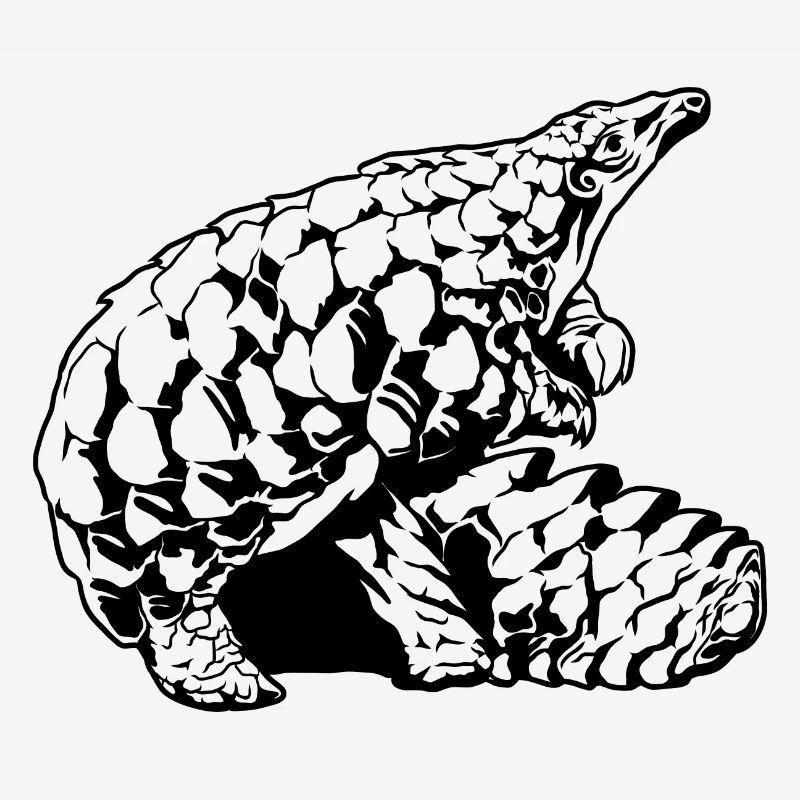 Cool Pangolin Sketch Graphic Wildlife Creature