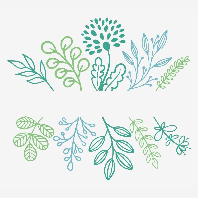 pas de pluie, pas de fleurs