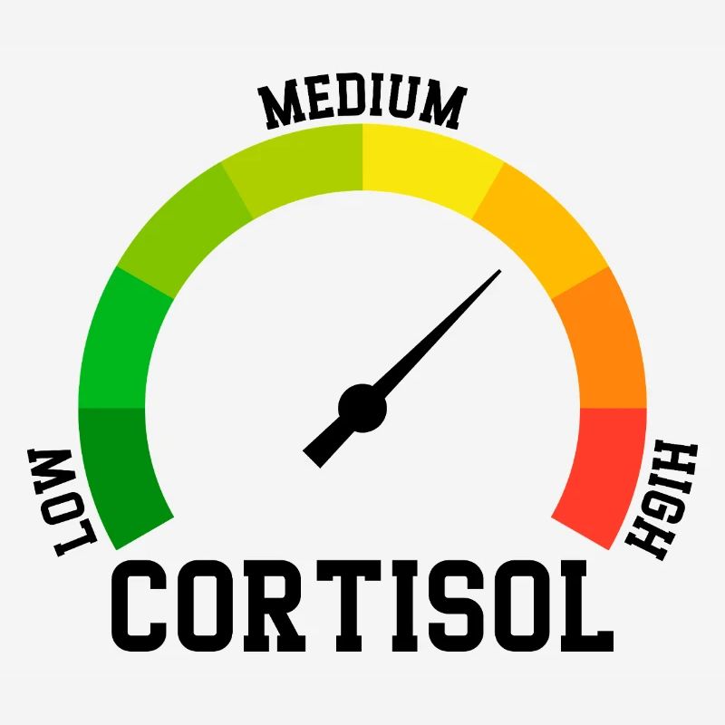 Faible Cortisol Niveau Bas Meme