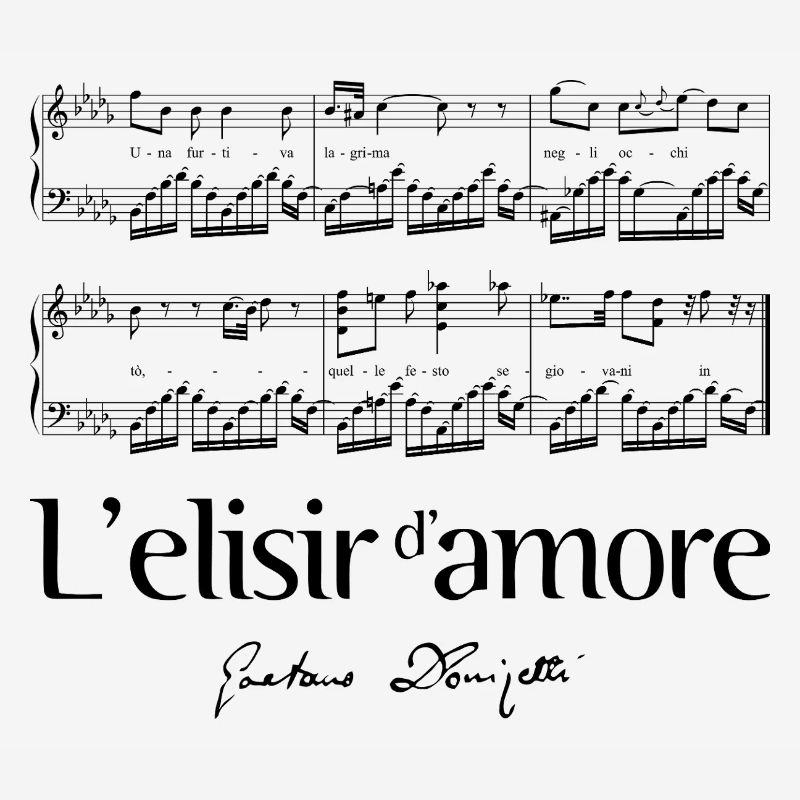 L'elisir d'amore 2