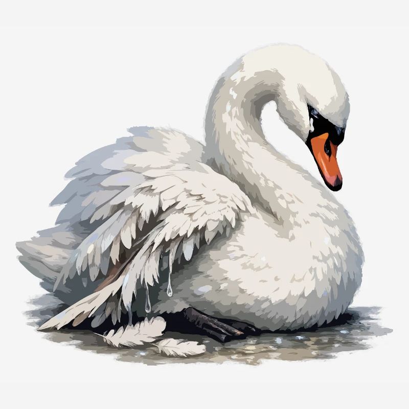Swan with broken wing