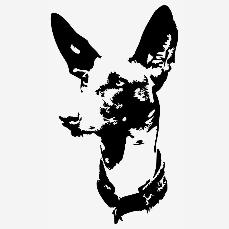 Tête de podenco