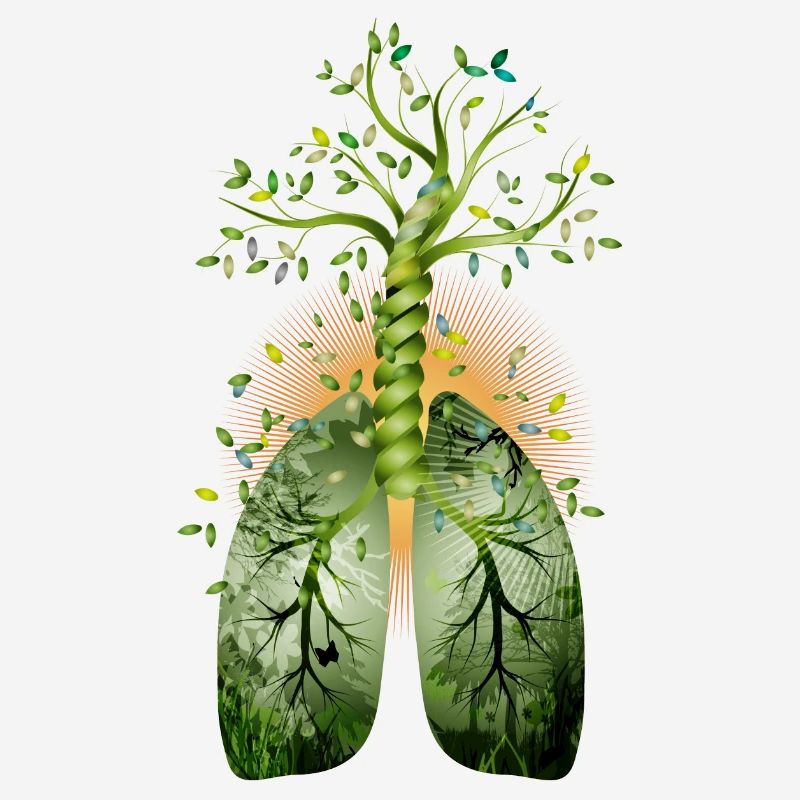 The forest, the green lung. Tree with lung