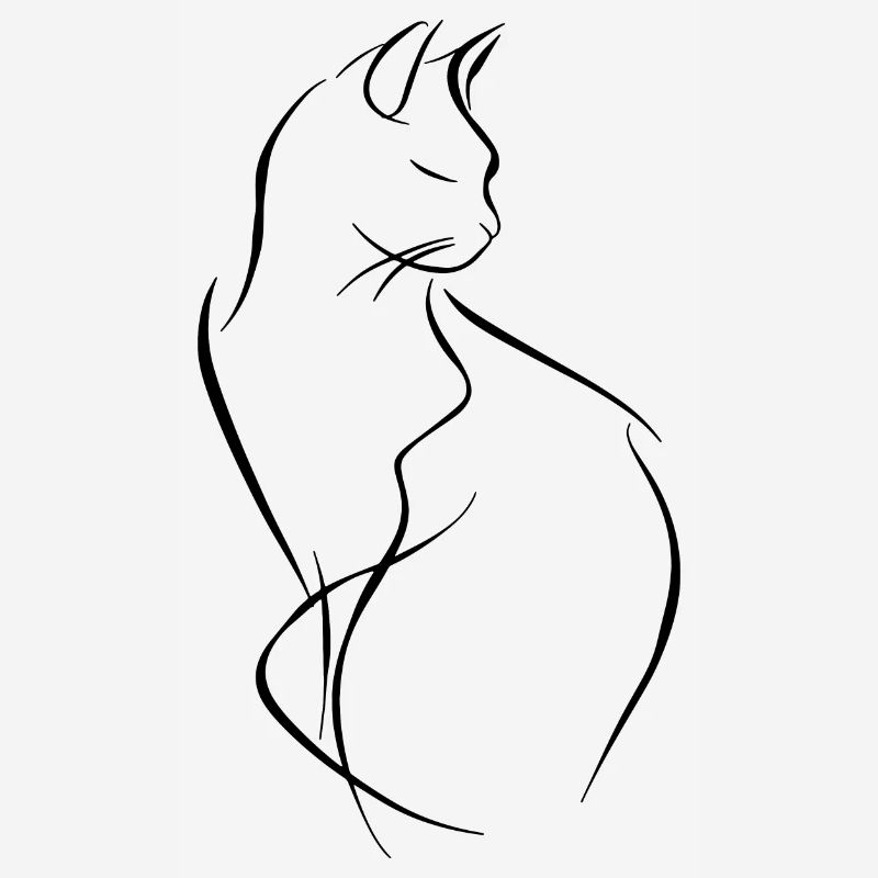 Cat Drawing