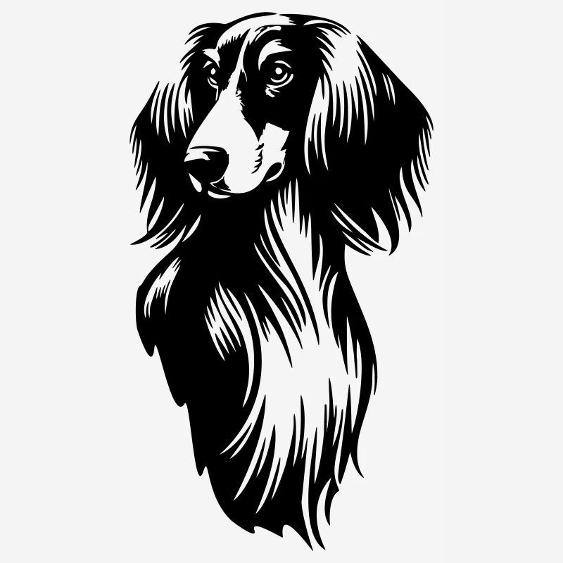 Tête de Saluki