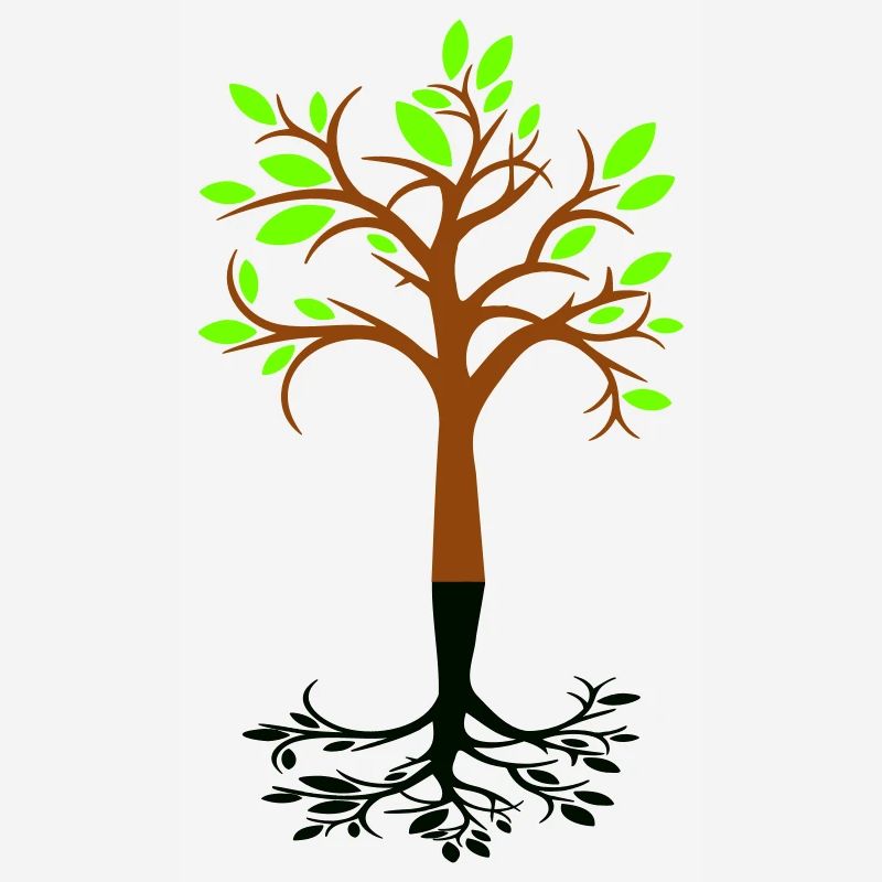 Beautiful Tree Forest Sapling Shadow Silhouette