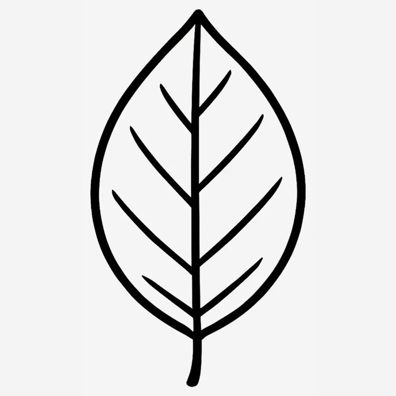 Black leaf line design