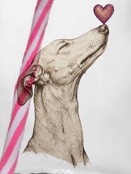 Hund mit Herz