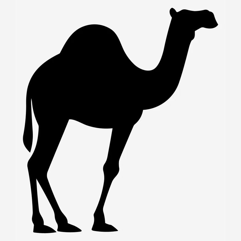 Kamel