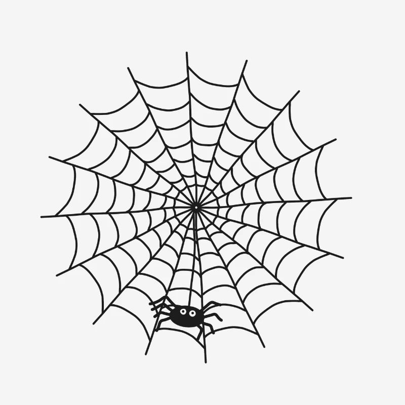 Spider web with spider on the thread