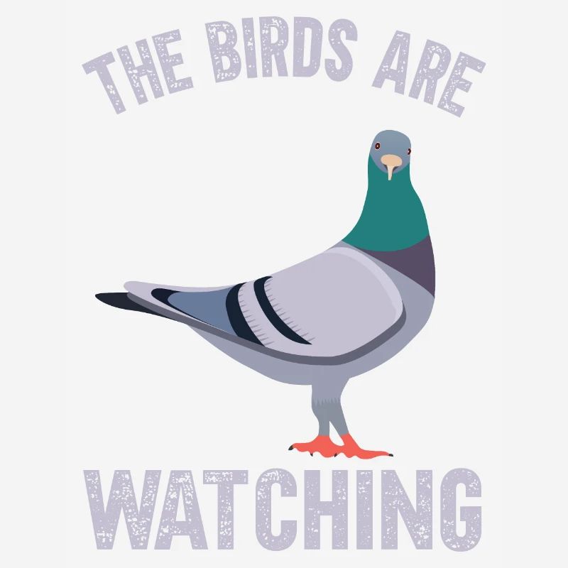 Les oiseaux observent