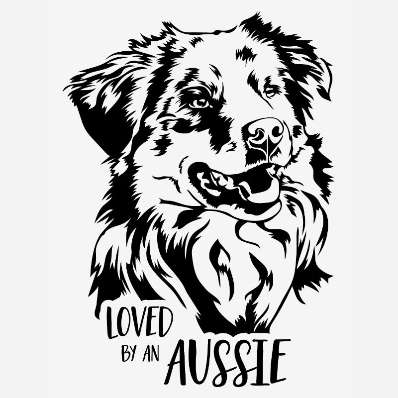 Australian Shepherd loved by an Aussie Wilsigns