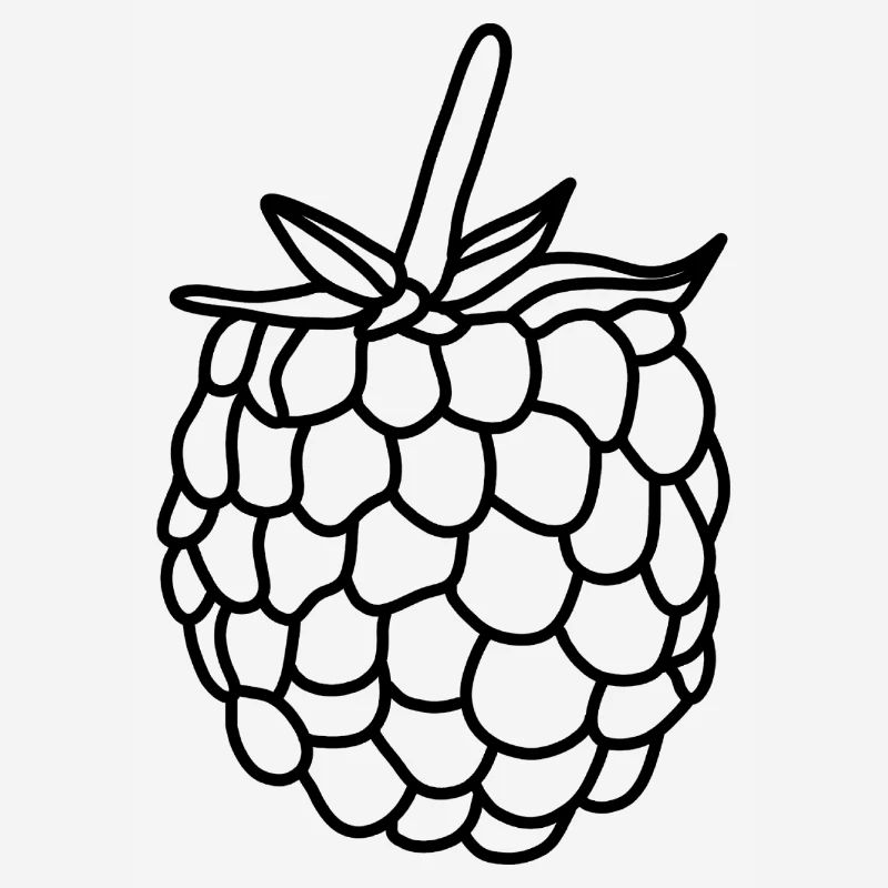 Raspberry Berry Vitamins