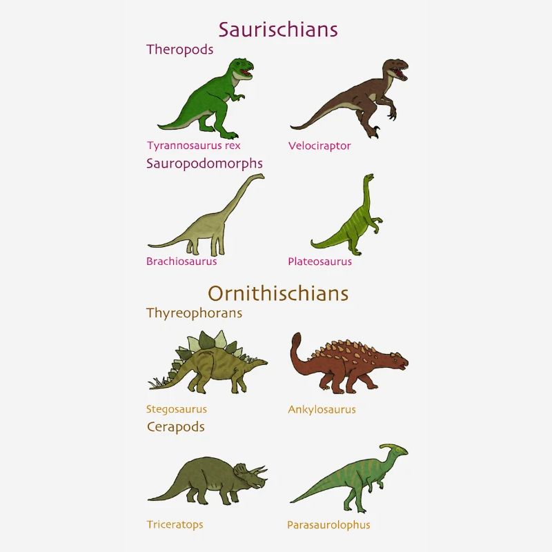 Dinosaur Classification