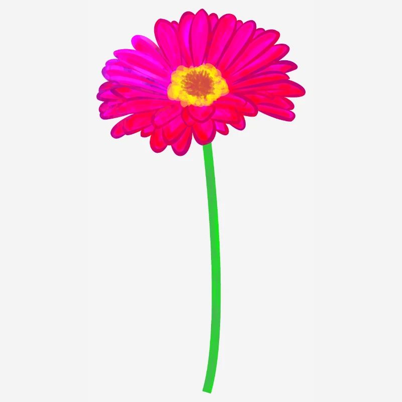 Gerbera