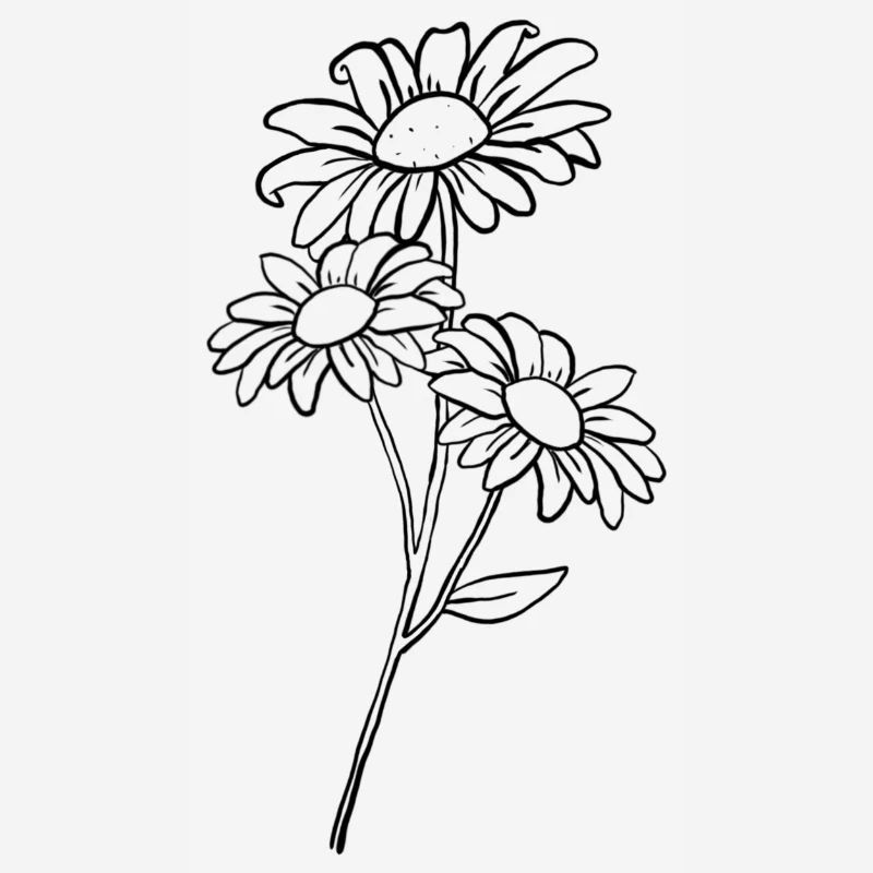 Gänseblümchen / Daisy