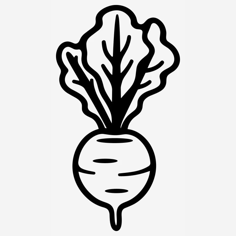 Beet