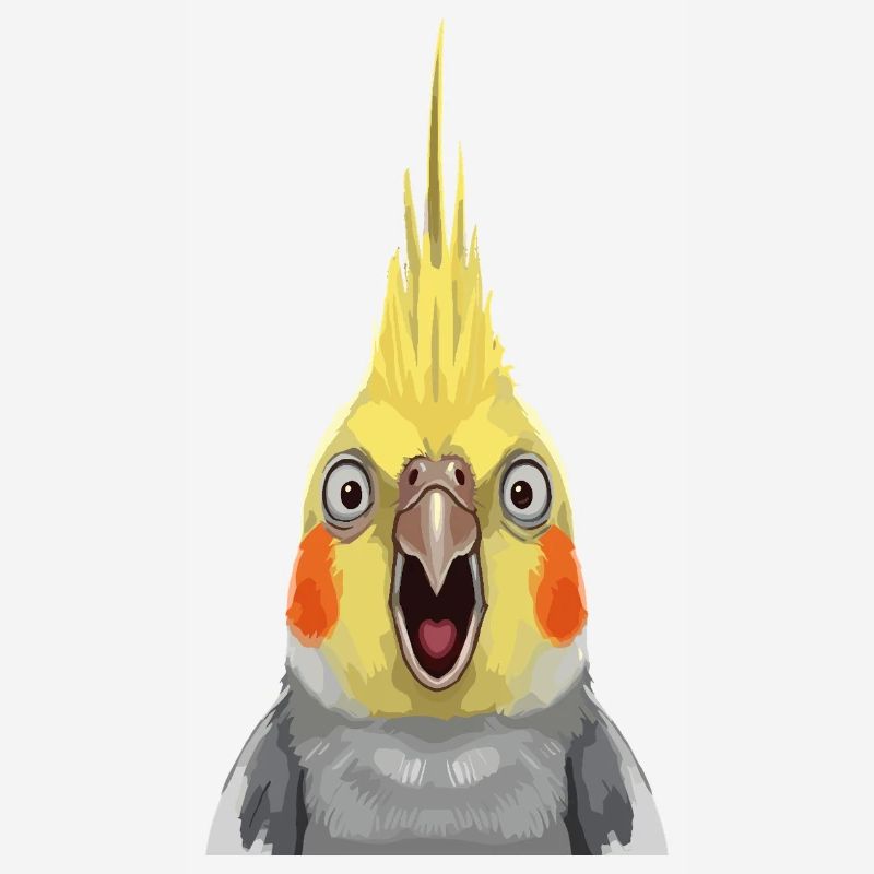 Estampe pop expressive de calopsitte