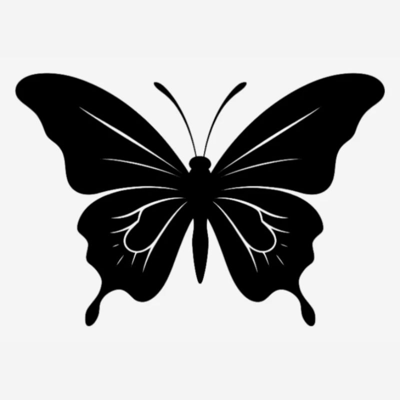 Papillon. papillon