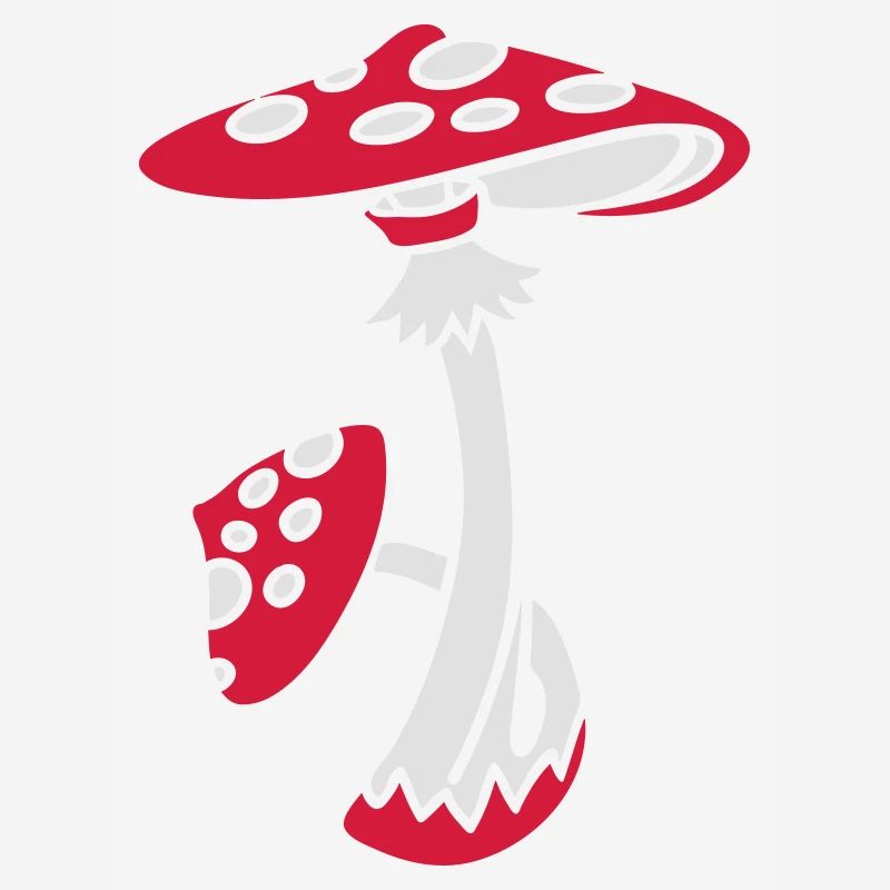 Fly agaric, Toadstool, Magic Mushroom, Psychedelic