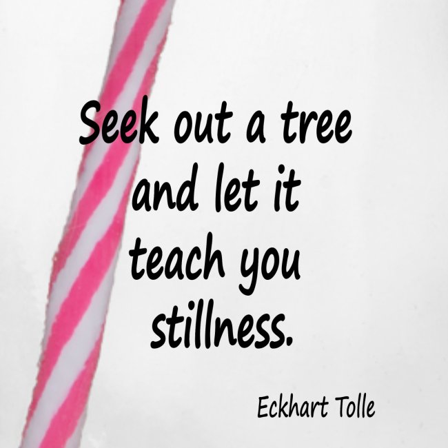 Tree for Stillness