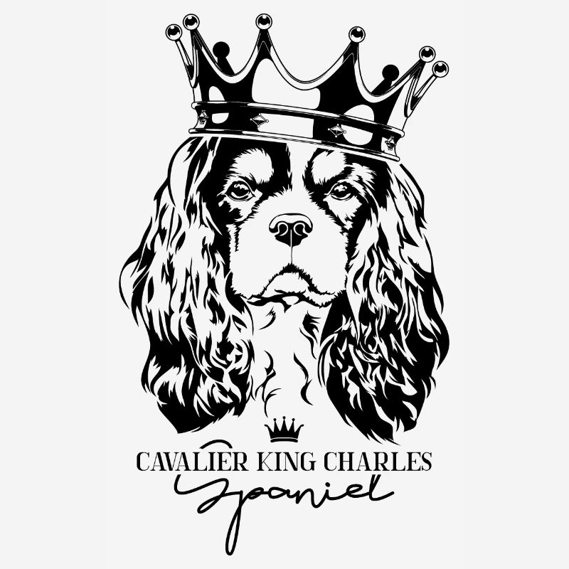 CAVALIER KING CHARLES SPANIEL Chiens Wilsigns Chien