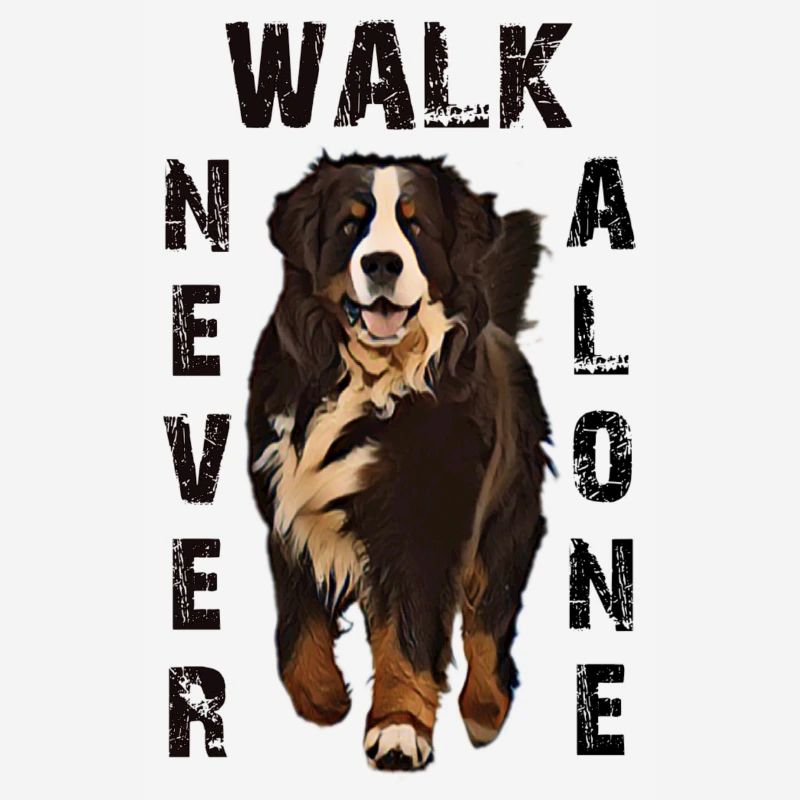 Berner Berghund