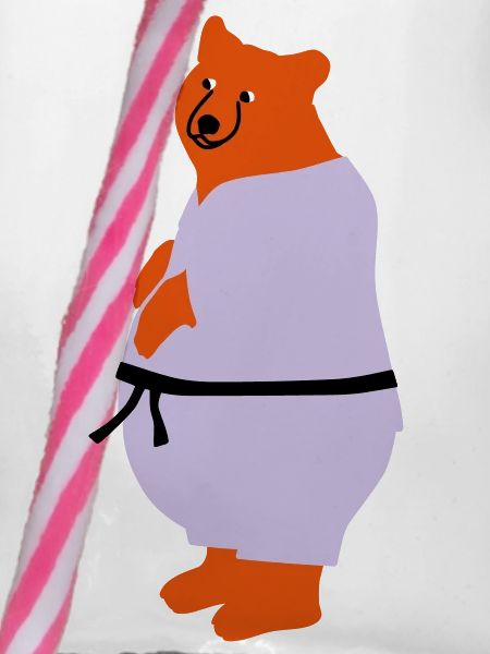 taekwondo bear