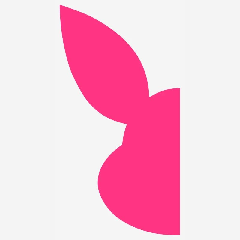 Half Silhouette Face Rabbit