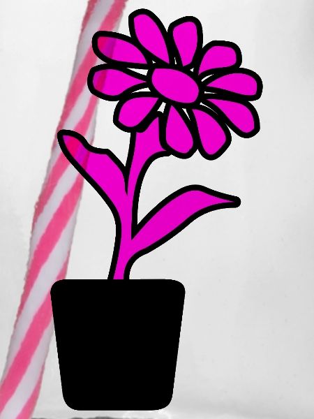 Blume