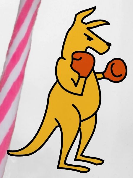boxing kangaroo