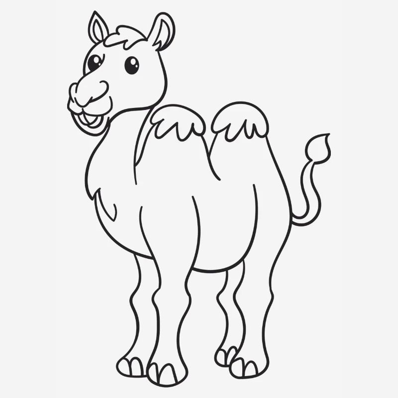 Kamel, Kamele, Geschenk, Geschenkidee