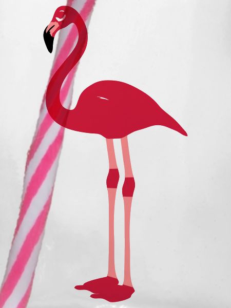 flamant