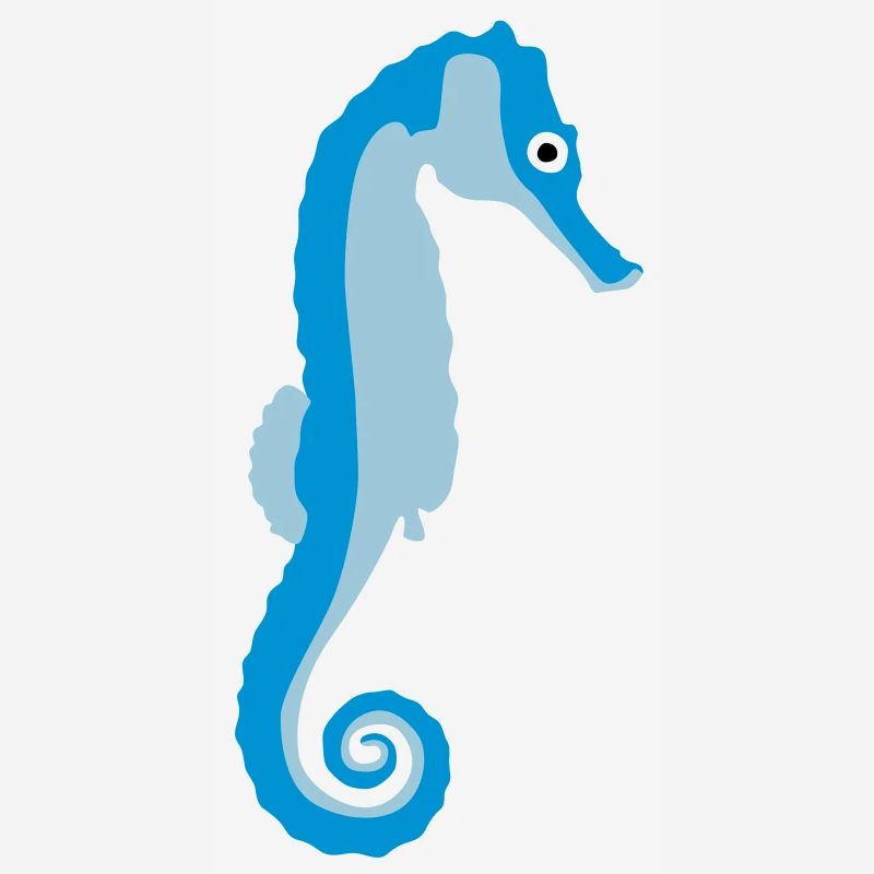 seepferdchen_082012_a_3c