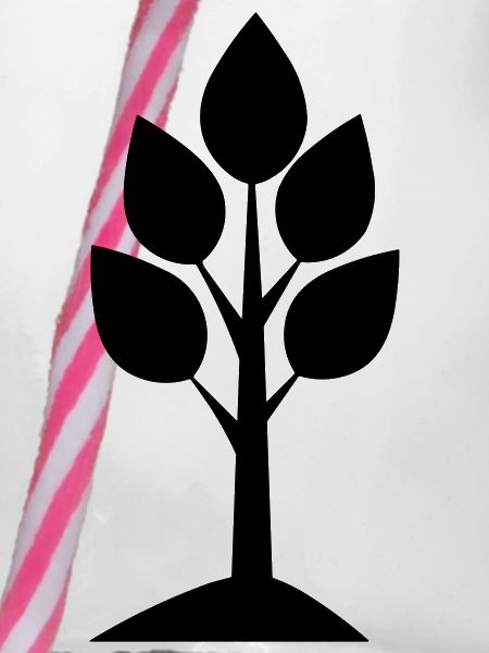 Baum