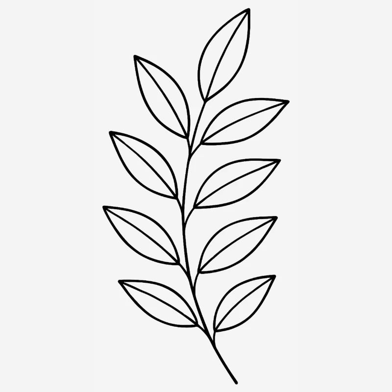 Dessin de lignes de branchement de feuilles