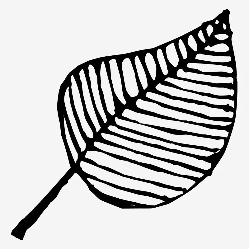 feuille