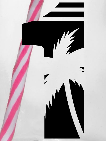 1_palmen