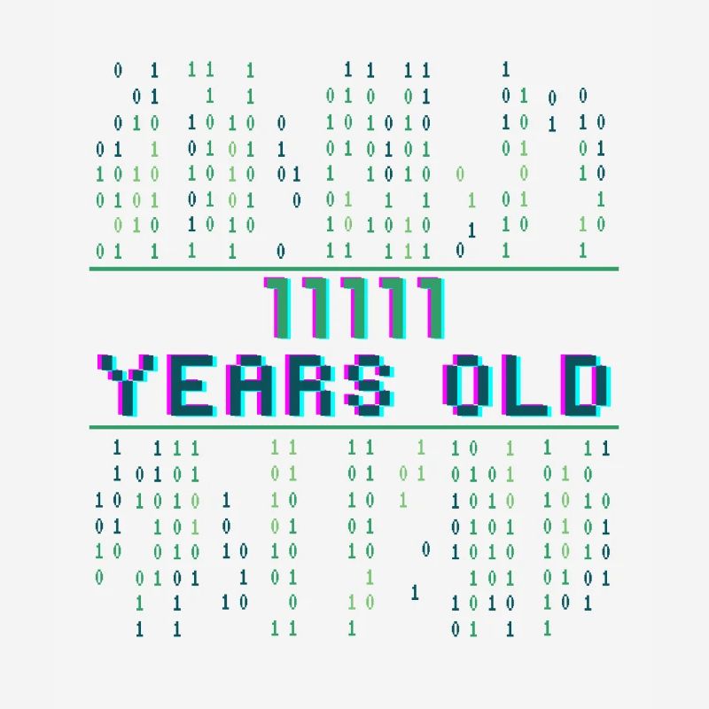 31st birthday 31 years old Binary Code Computer Science