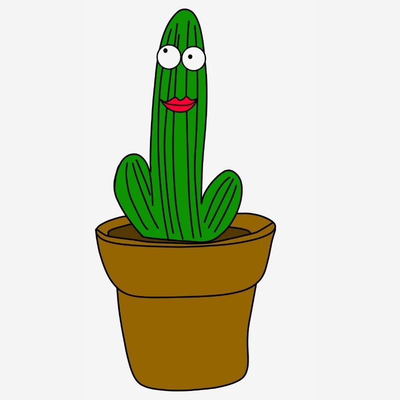 Cactus avec visage